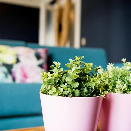 Apartment Smartflats - Gaite Brussels